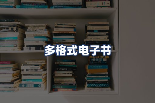 多格式电子书